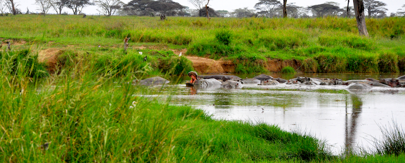 Melanie Heinrich Travel Images Africa